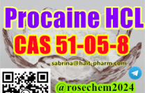 +8615355326496 Procaine hydrochloride CAS 51-05-8 Threema TY75RJSS mediacongo